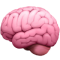 Cerebro